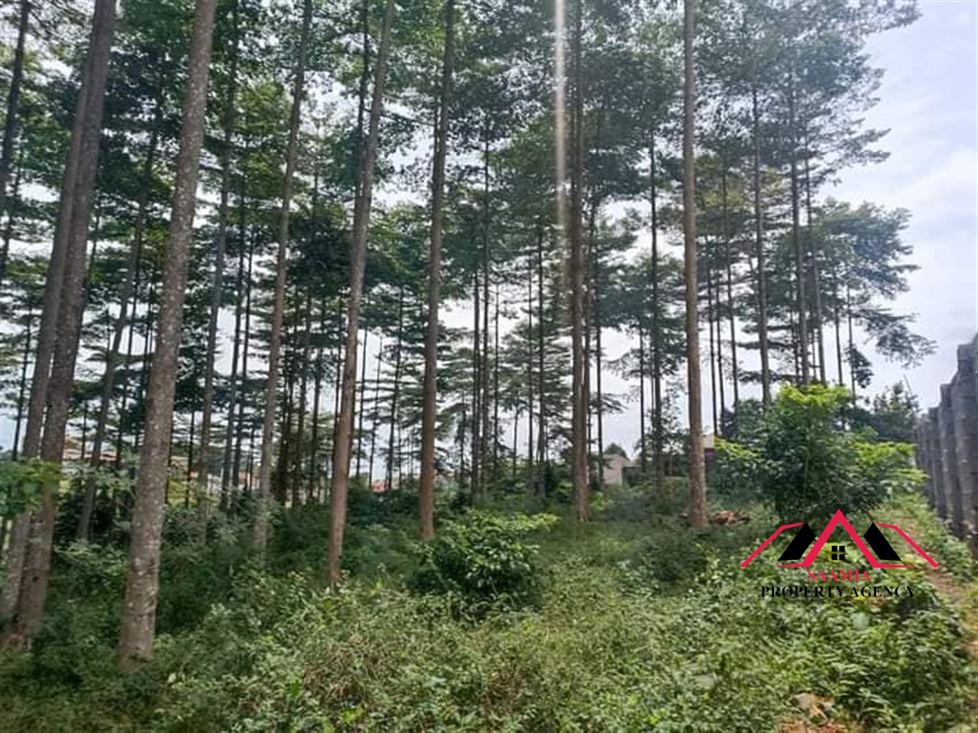 Commercial Land for sale in Namugongo Wakiso