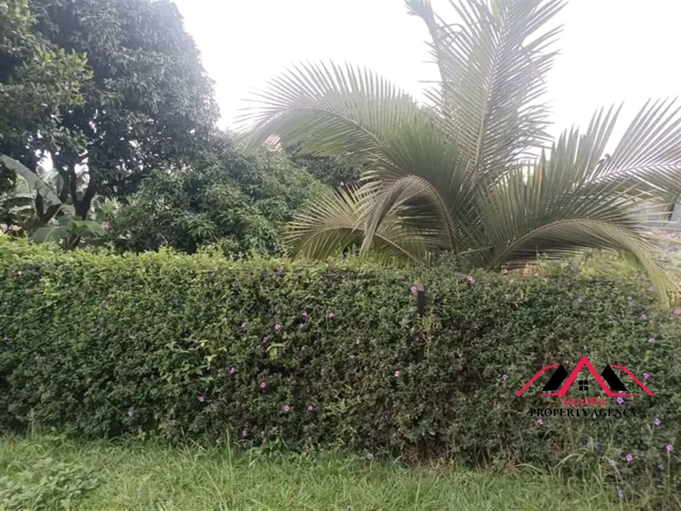 Bungalow for sale in Ntinda Kampala