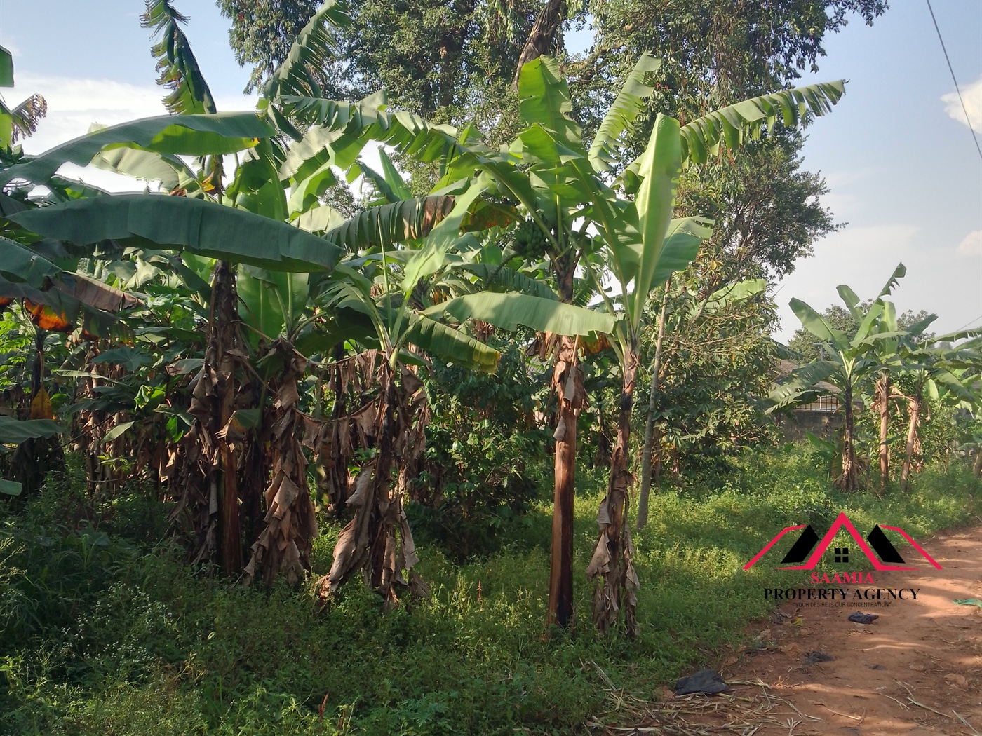 Residential Land for sale in Kasangati Kampala