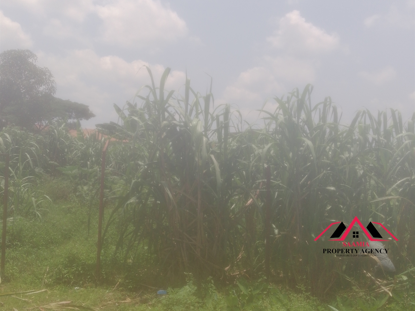 Commercial Land for sale in Mbalwa Wakiso