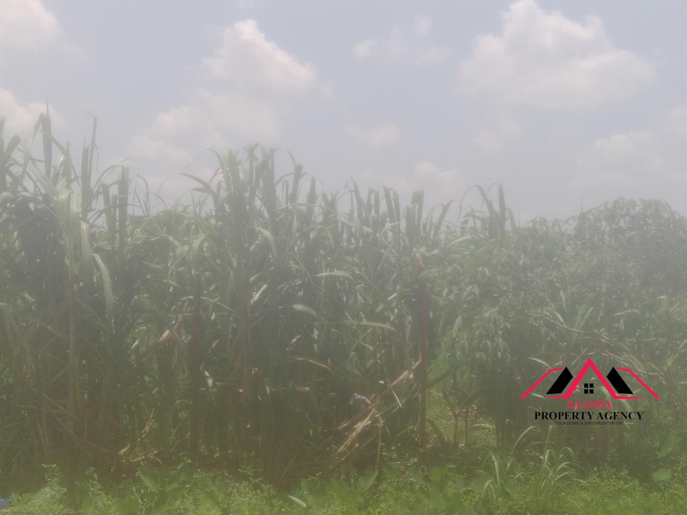 Commercial Land for sale in Mbalwa Wakiso