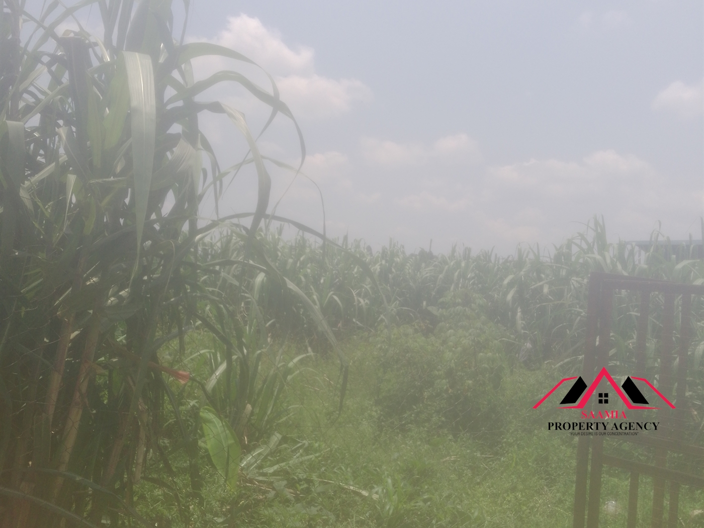 Commercial Land for sale in Mbalwa Wakiso