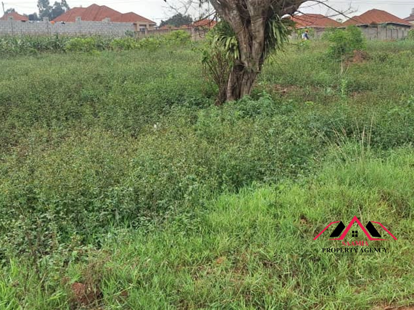 Residential Land for rent in Kira Wakiso