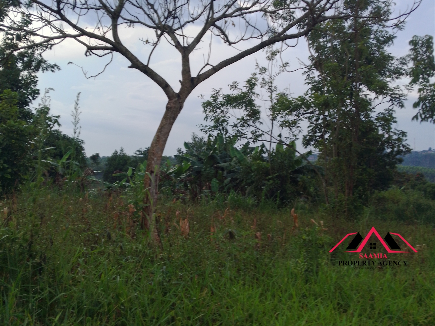 Residential Land for sale in Kabembe Mukono