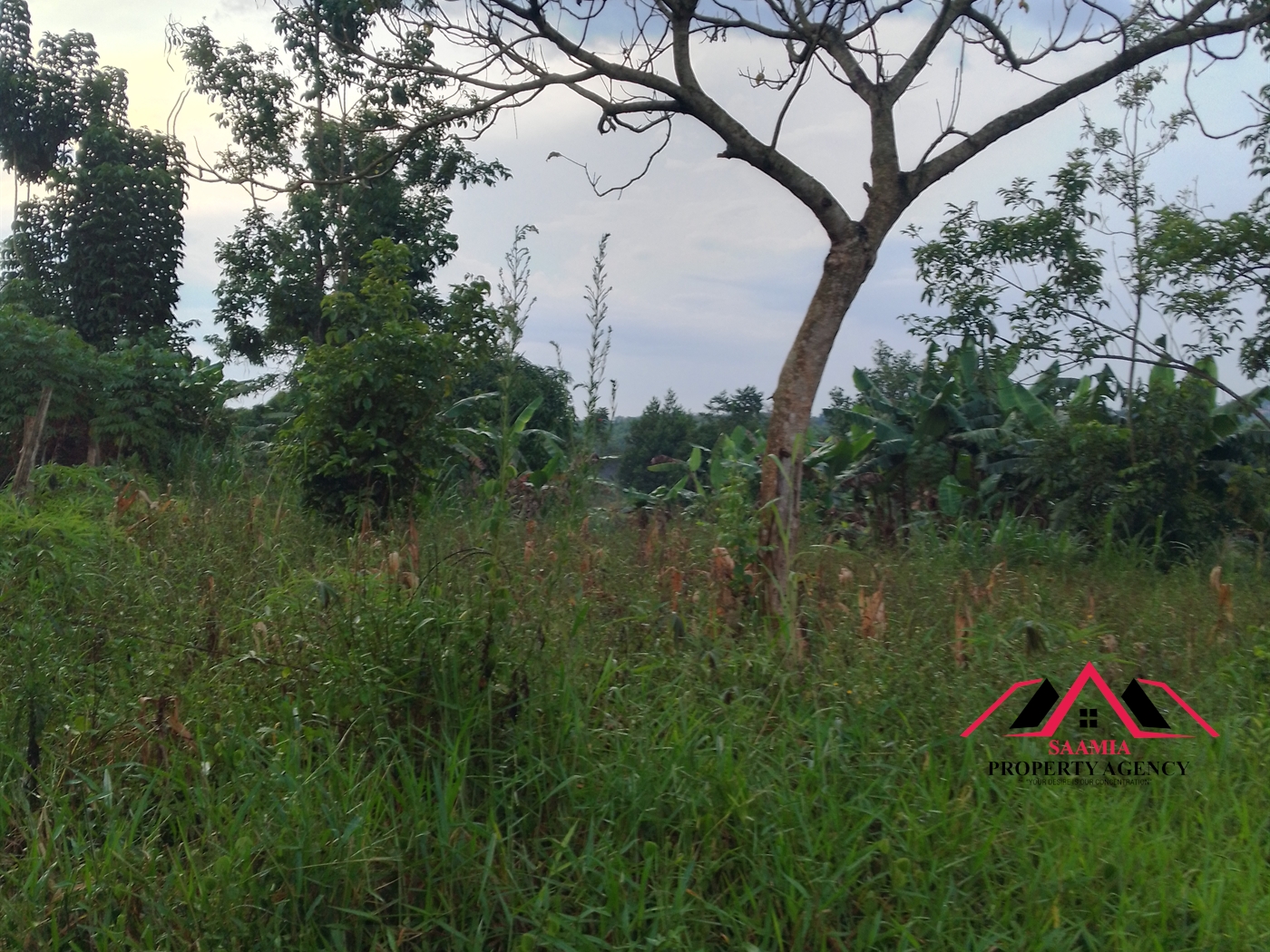 Residential Land for sale in Kabembe Mukono