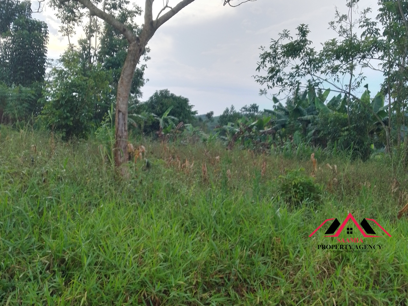 Residential Land for sale in Kabembe Mukono