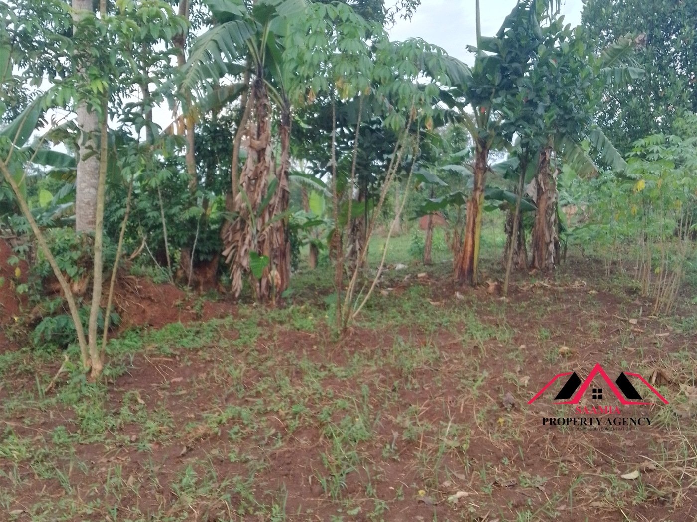 Residential Land for sale in Kabembe Mukono