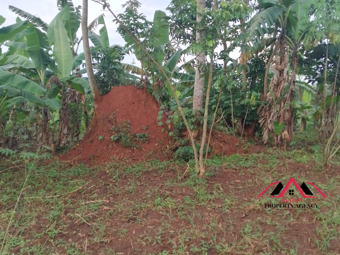 Residential Land for sale in Kabembe Mukono