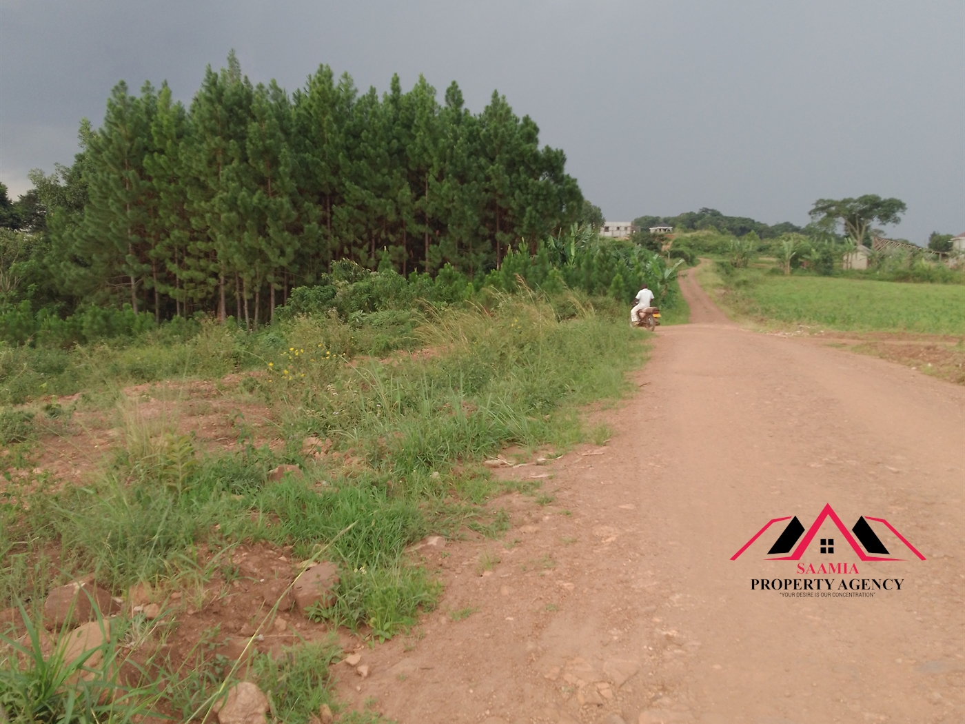 Residential Land for sale in Namilyango Wakiso