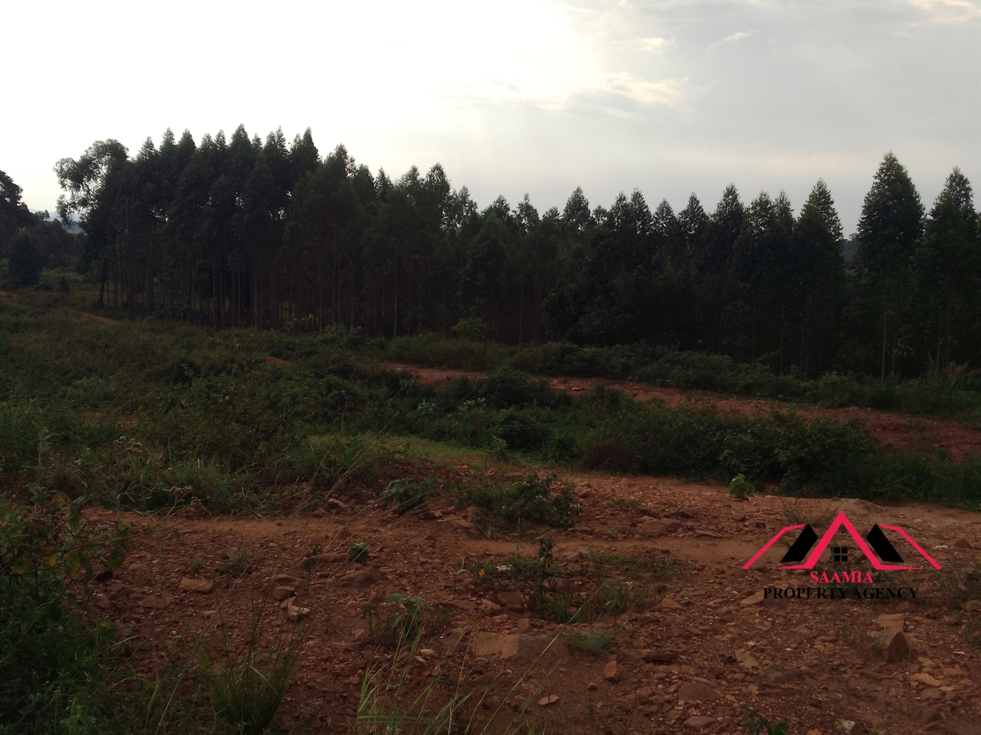 Residential Land for sale in Namilyango Wakiso