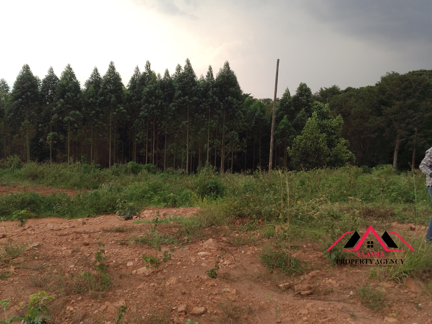 Residential Land for sale in Namilyango Wakiso