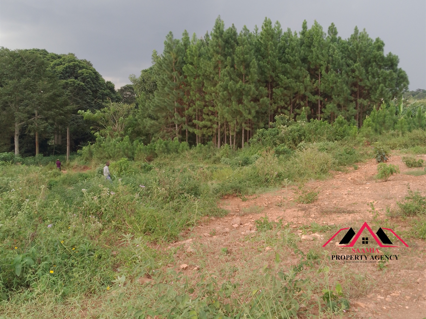 Residential Land for sale in Namilyango Wakiso