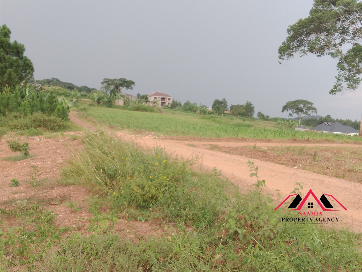 Residential Land for sale in Namilyango Wakiso