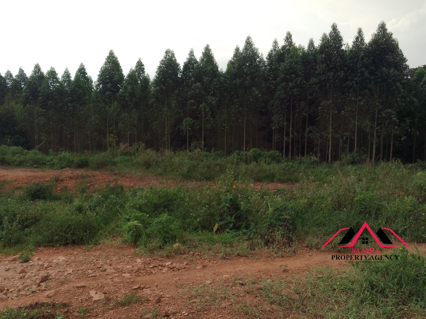 Residential Land for sale in Namilyango Wakiso