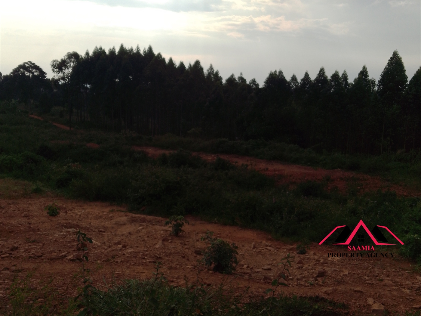 Residential Land for sale in Namilyango Wakiso