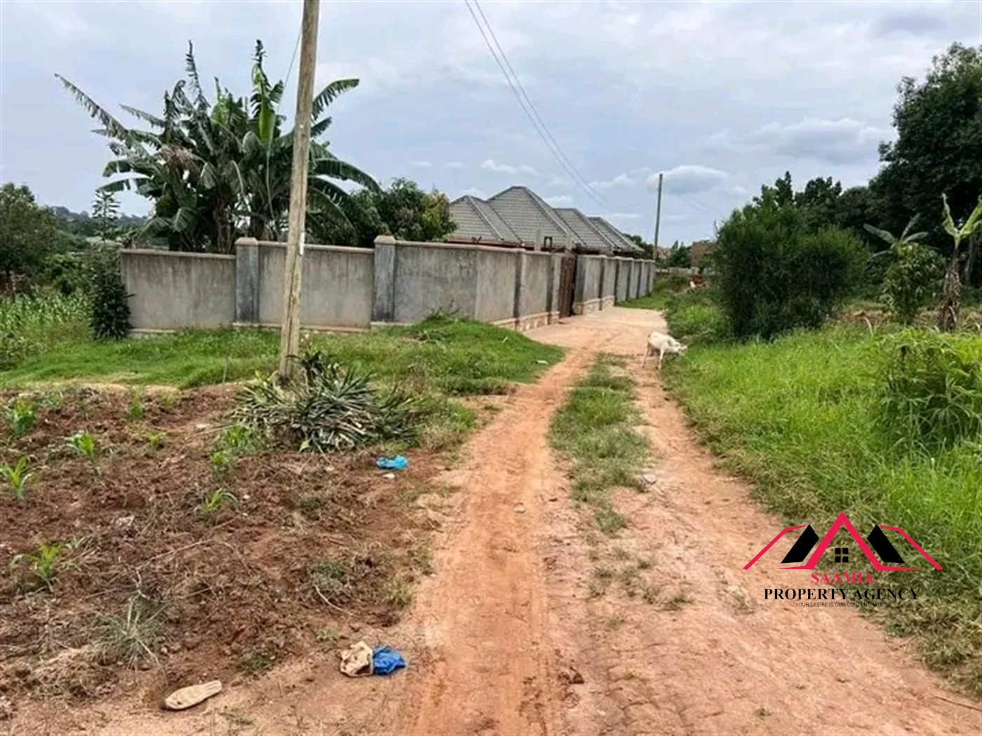 Residential Land for sale in Busukuma Wakiso