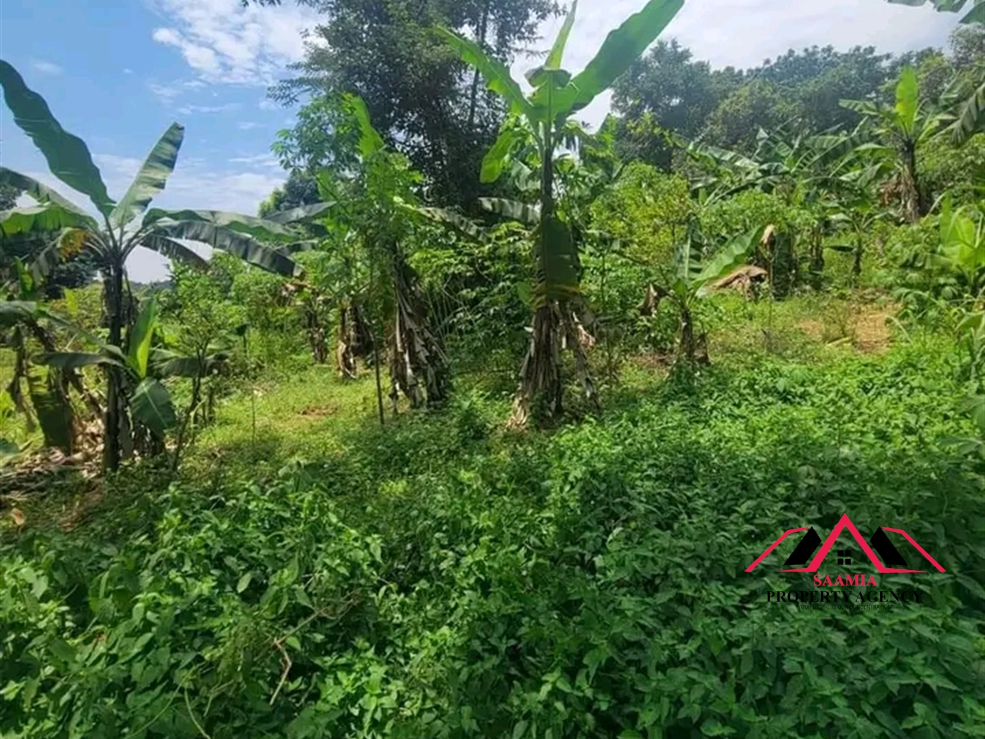 Residential Land for sale in Gayaza Kampala