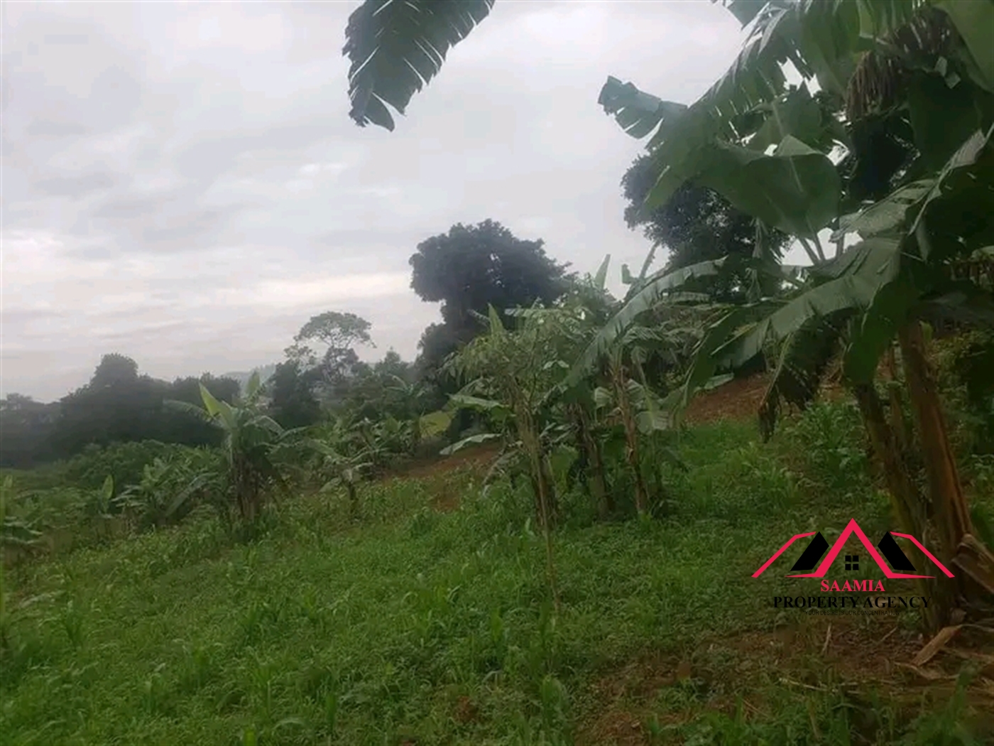 Residential Land for sale in Gayaza Kampala