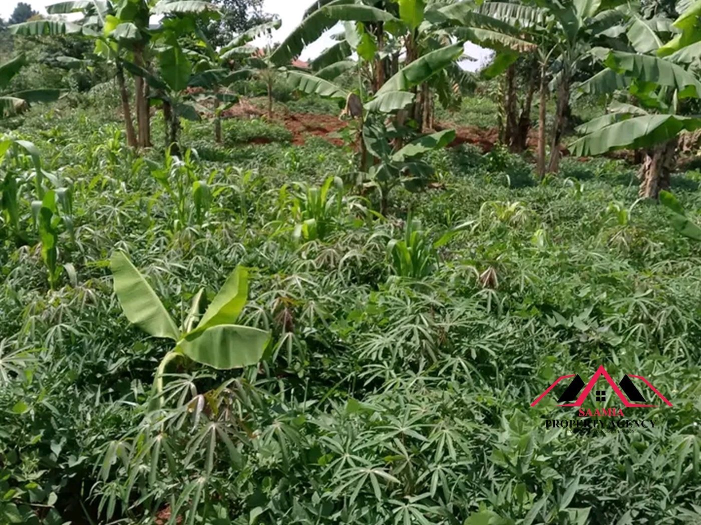 Residential Land for sale in Sonde Wakiso