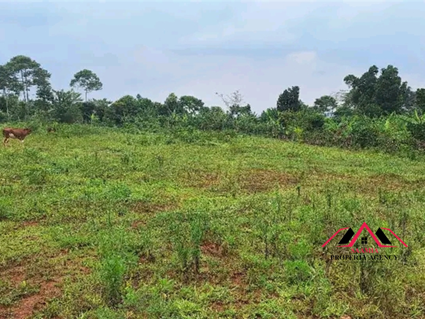 Residential Land for sale in Gayaza Kampala