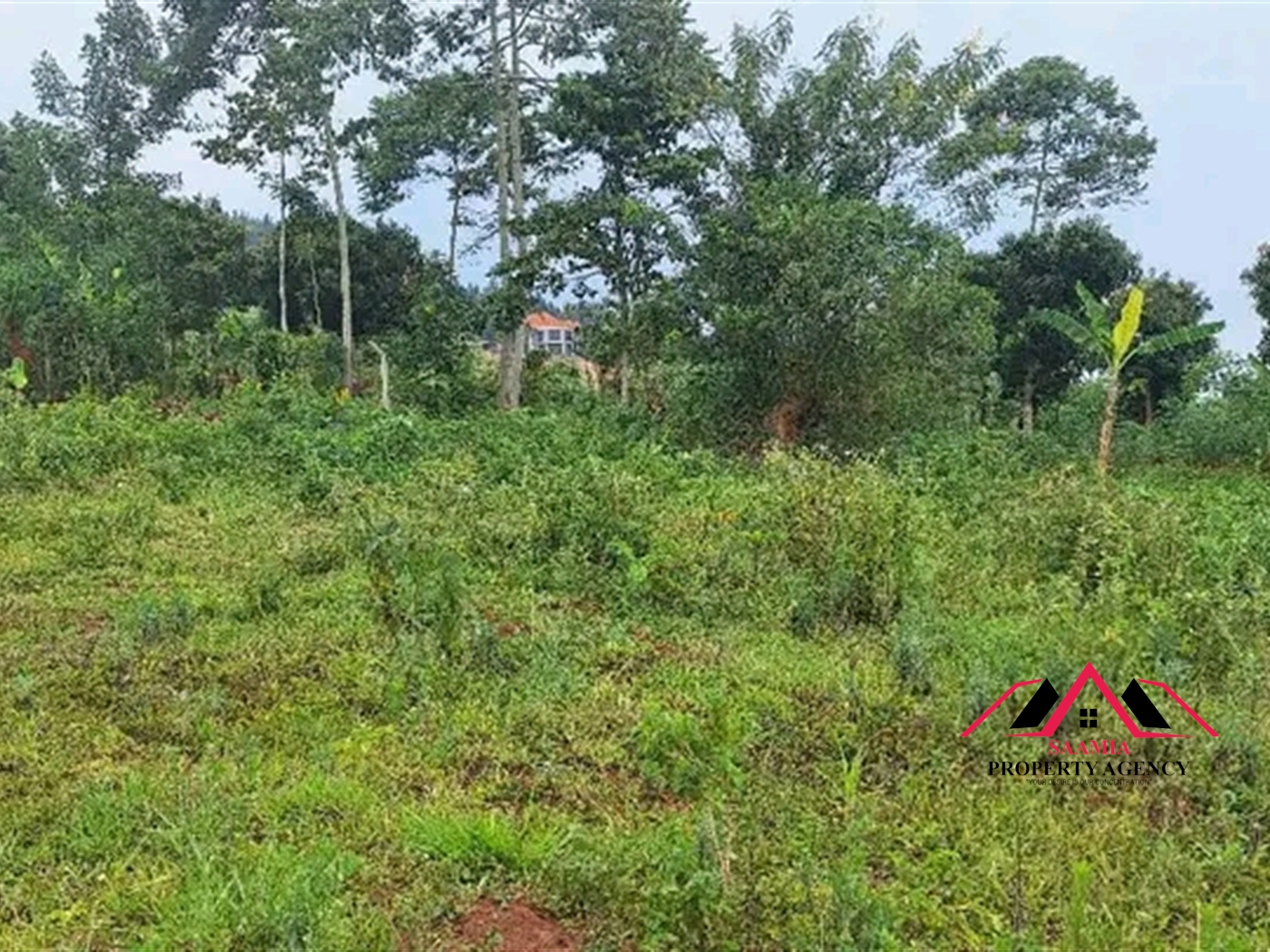 Residential Land for sale in Gayaza Kampala