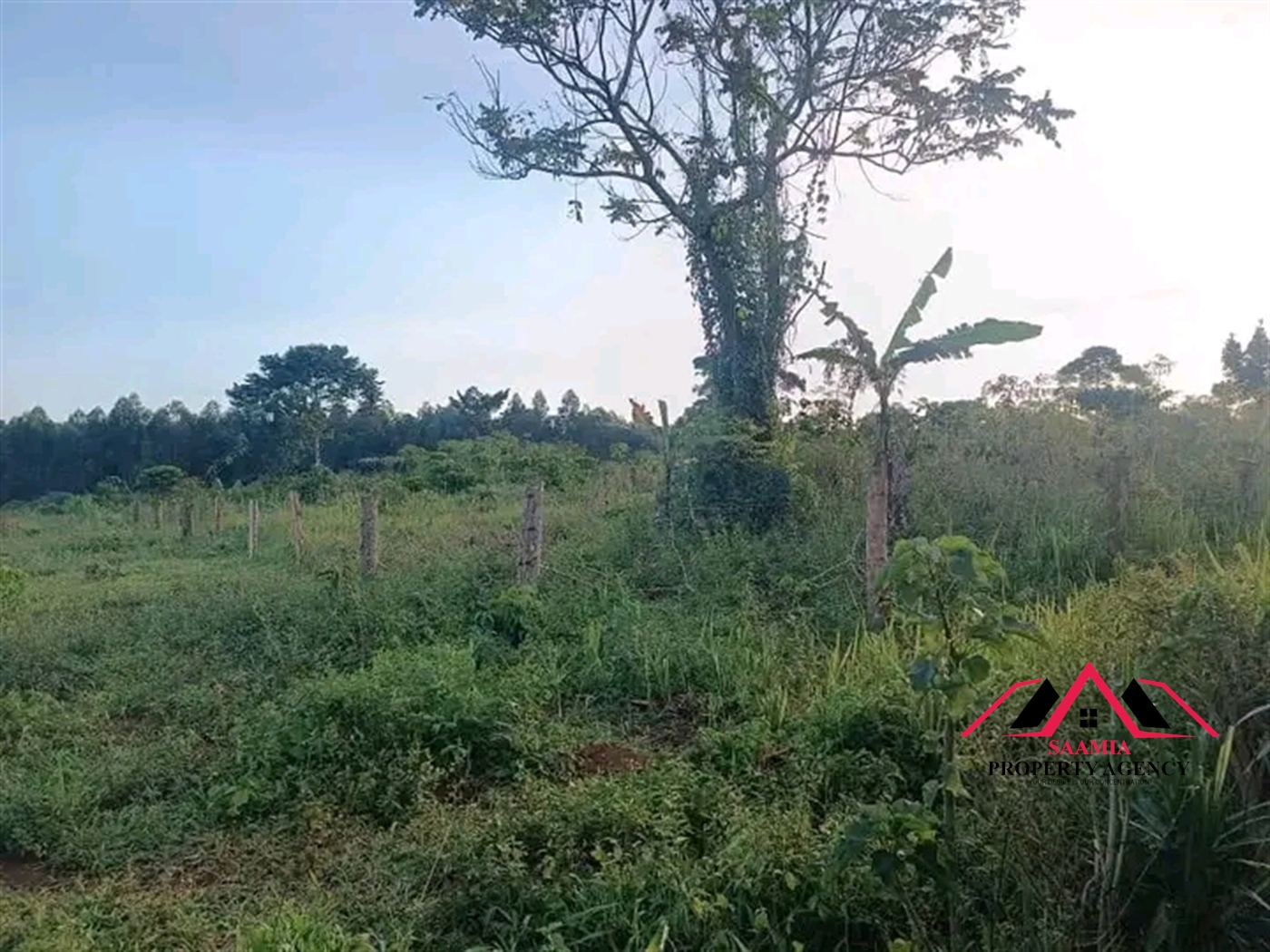 Residential Land for sale in Kiyola Mukono