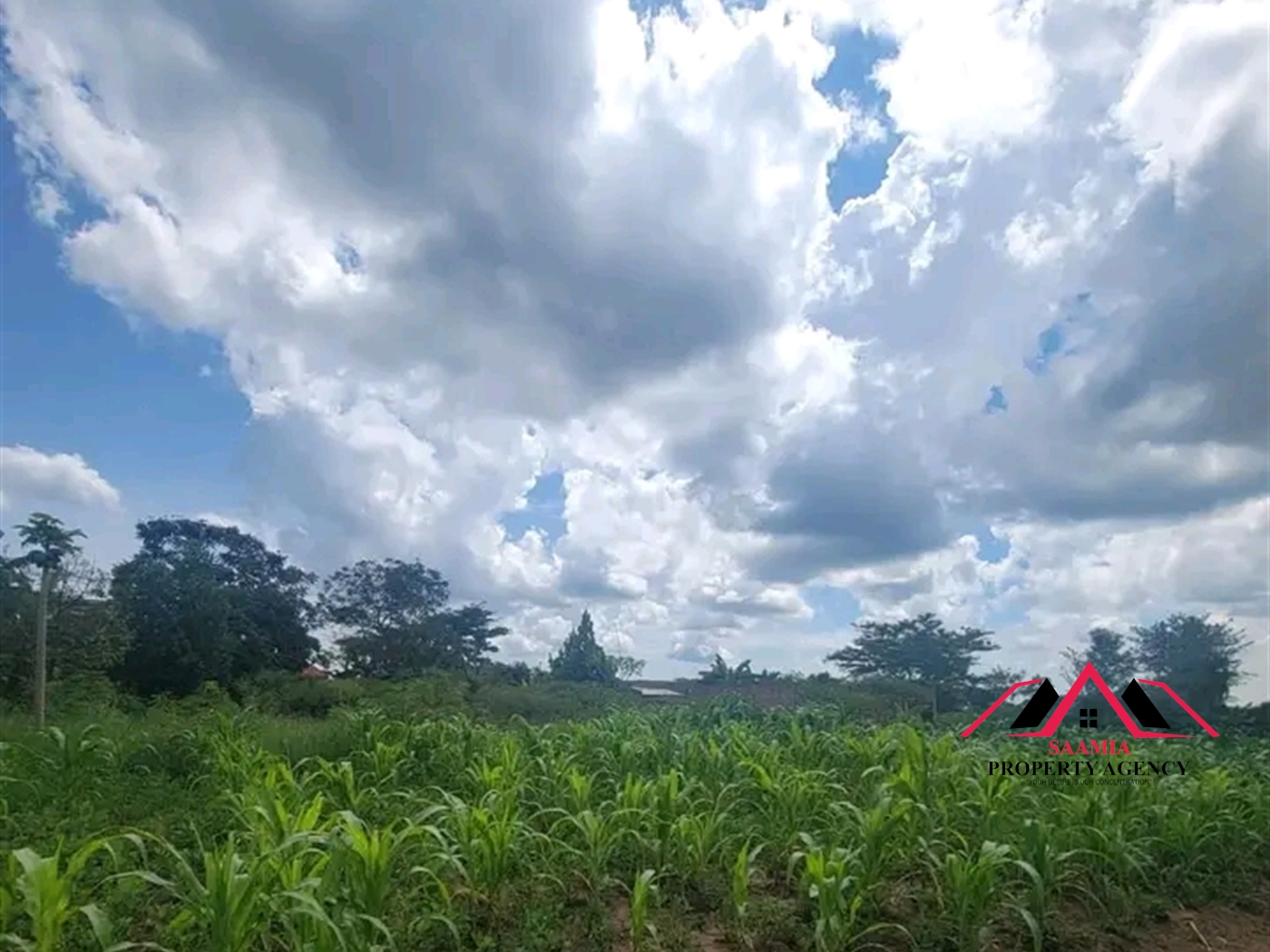 Residential Land for sale in Gayaza Wakiso