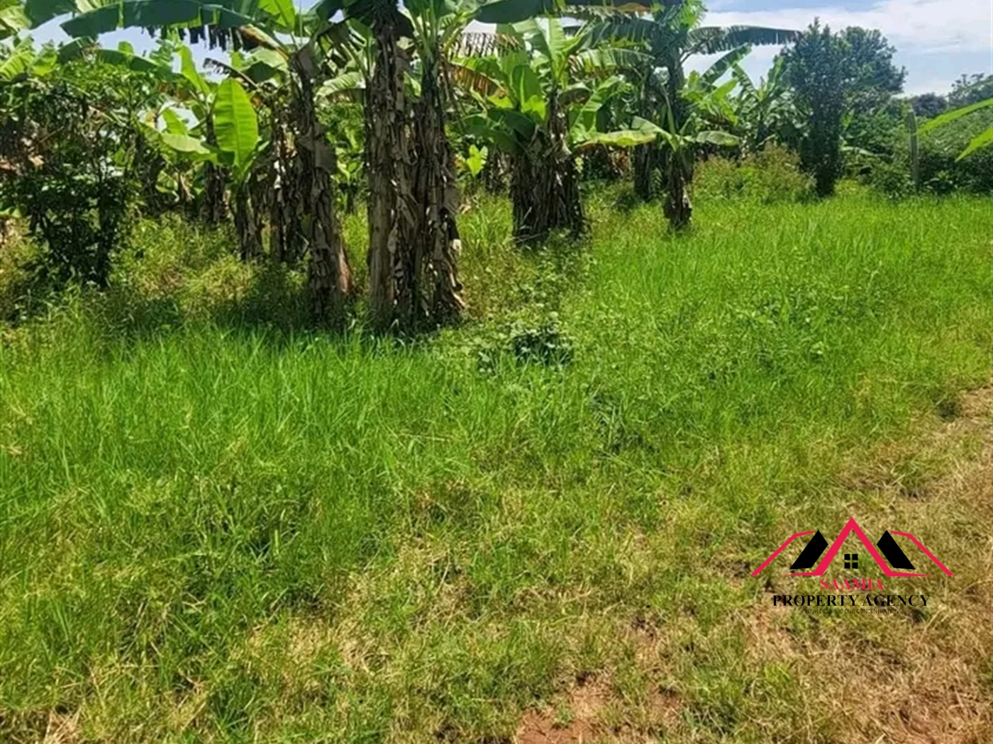 Residential Land for sale in Gayaza Kampala