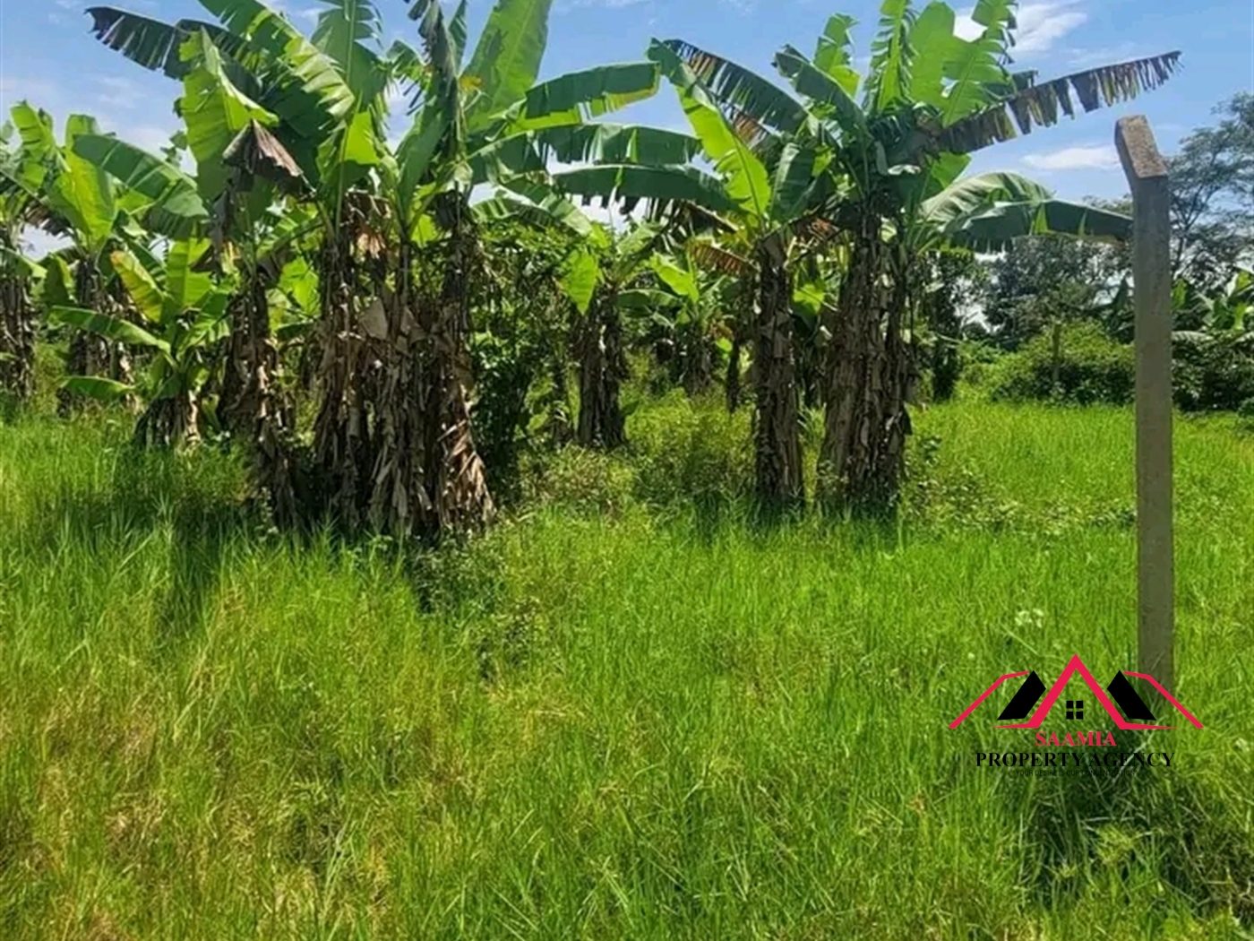 Residential Land for sale in Gayaza Kampala