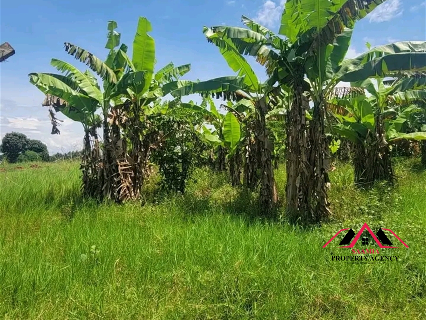 Residential Land for sale in Gayaza Kampala