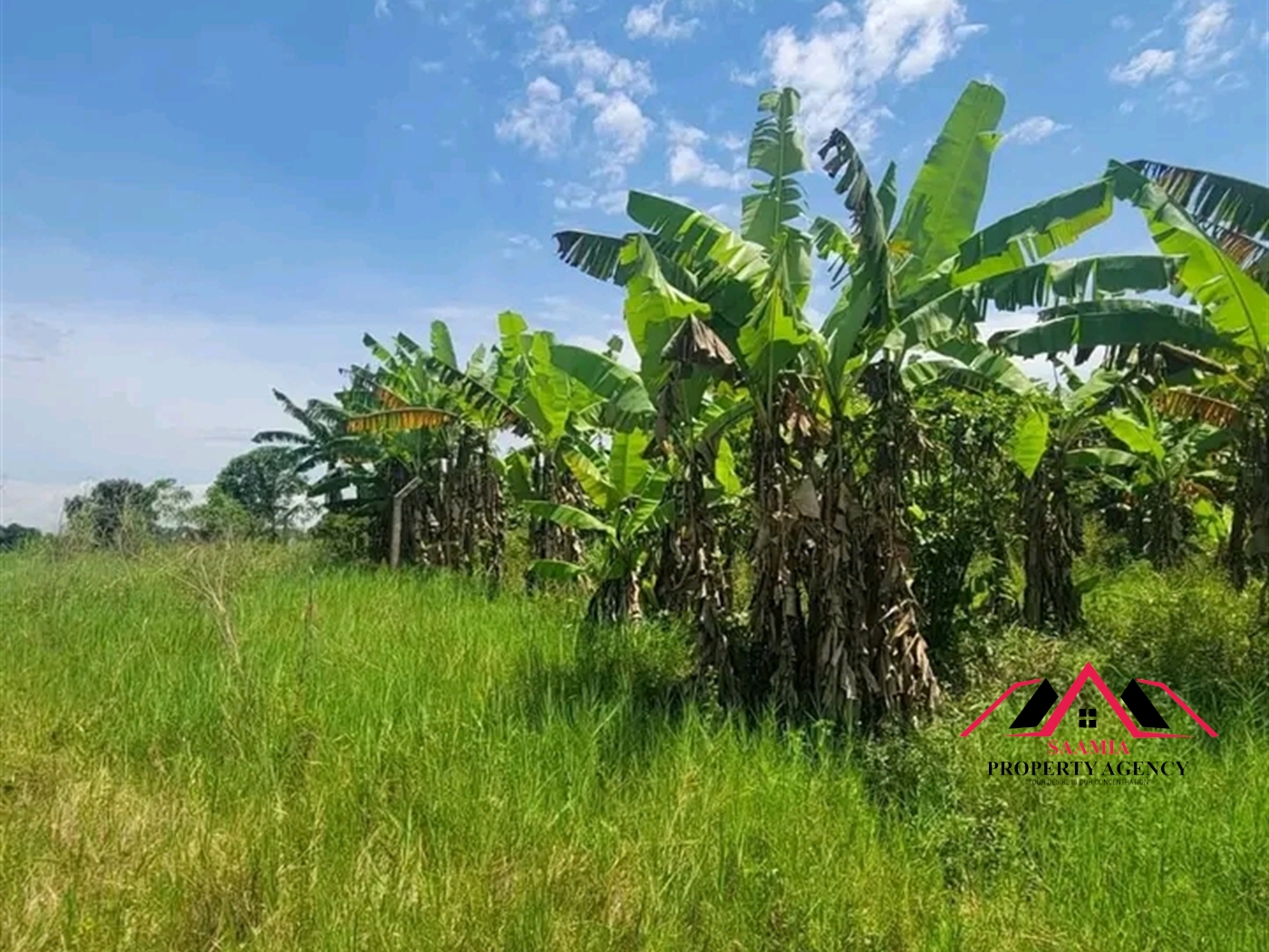 Residential Land for sale in Gayaza Kampala