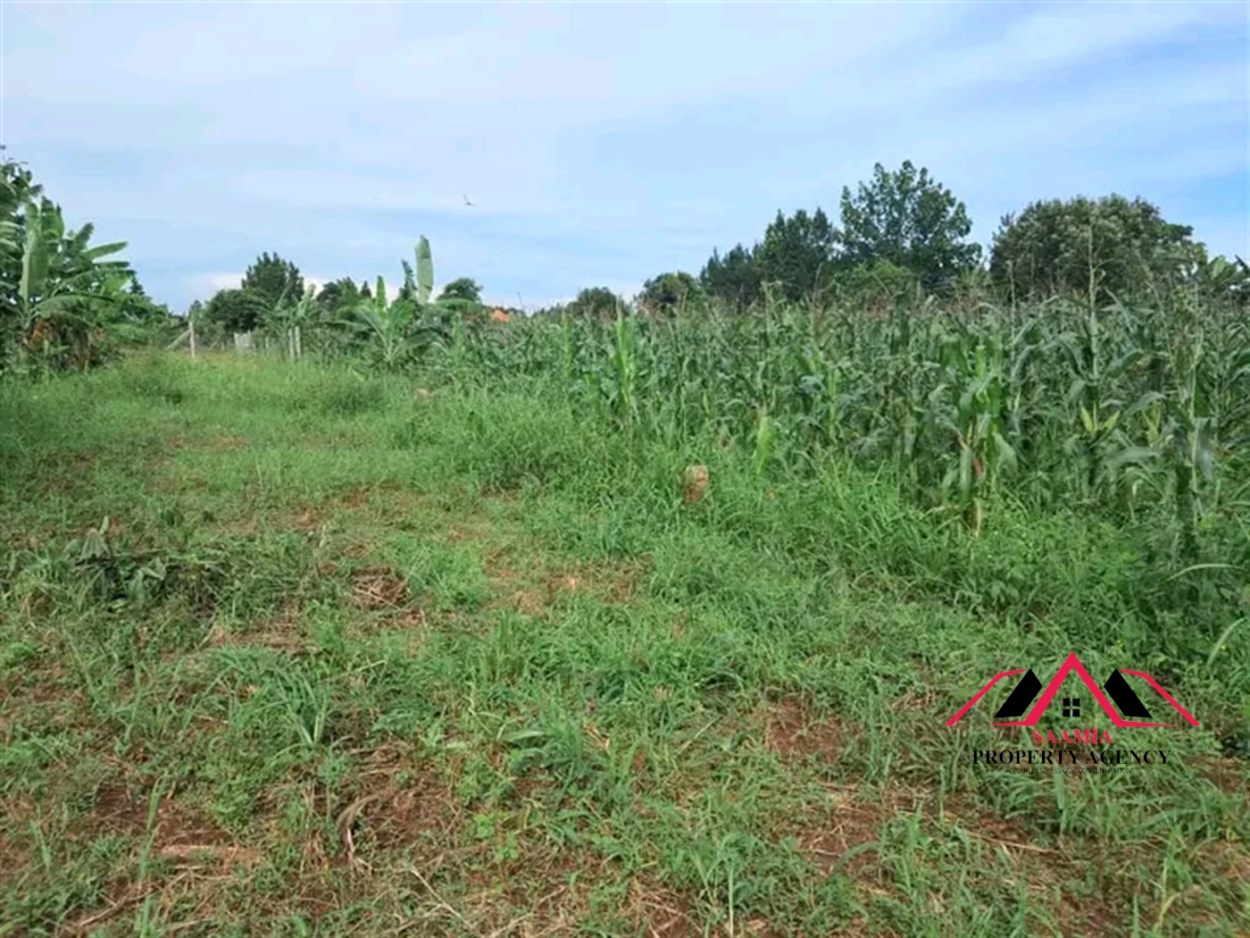 Residential Land for sale in Gayaza Kampala