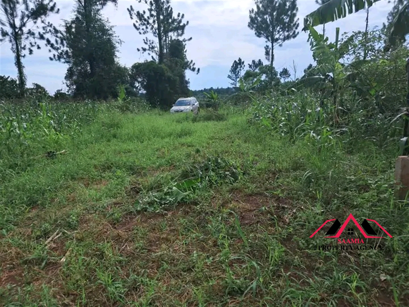 Residential Land for sale in Gayaza Kampala