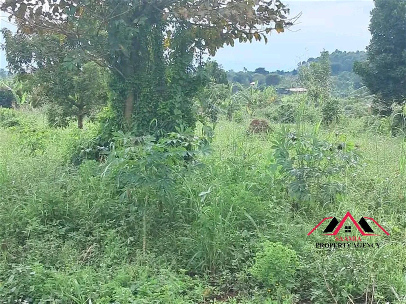 Residential Land for sale in Gayaza Kampala