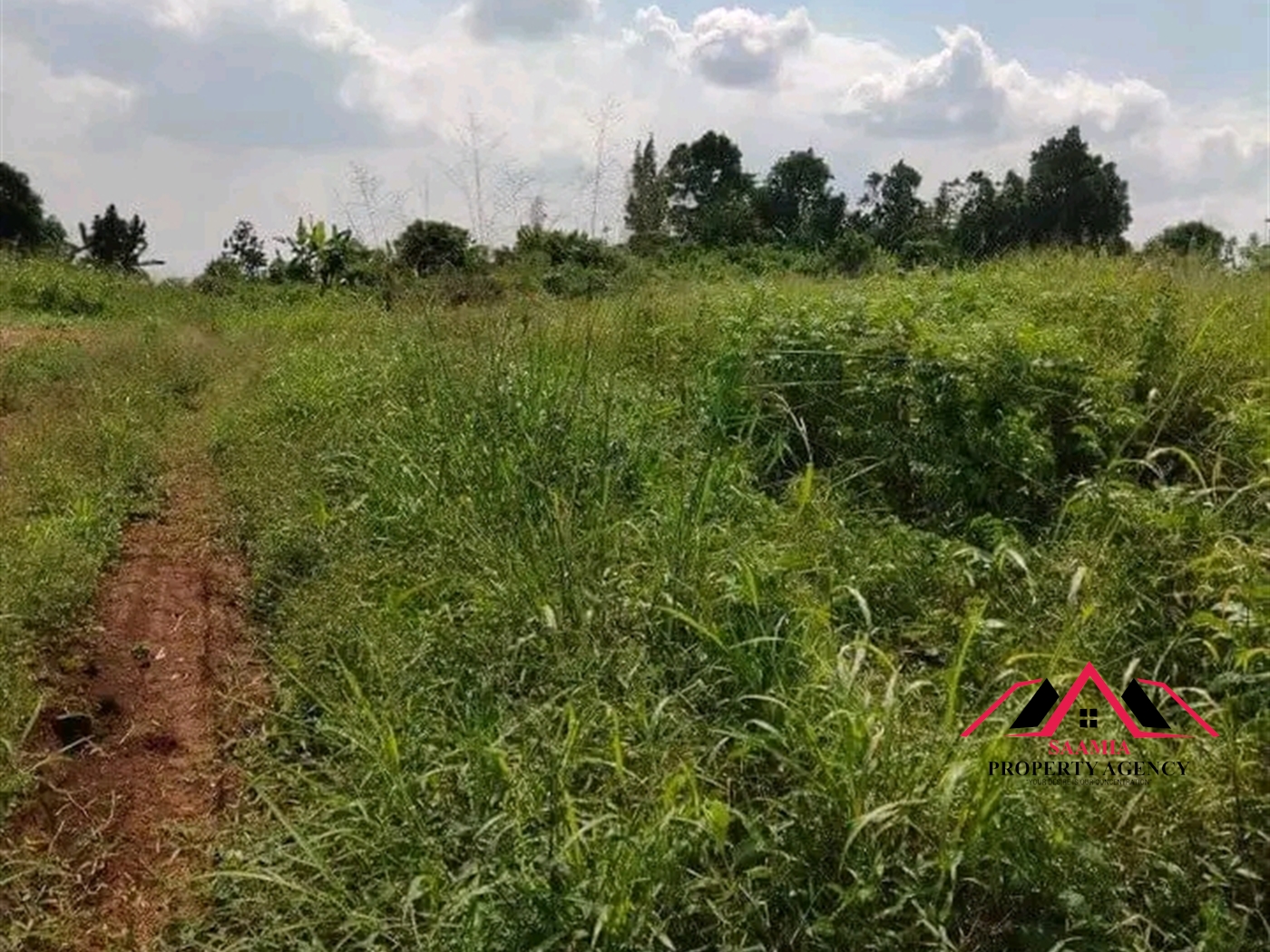 Residential Land for sale in Nakasanjja Wakiso