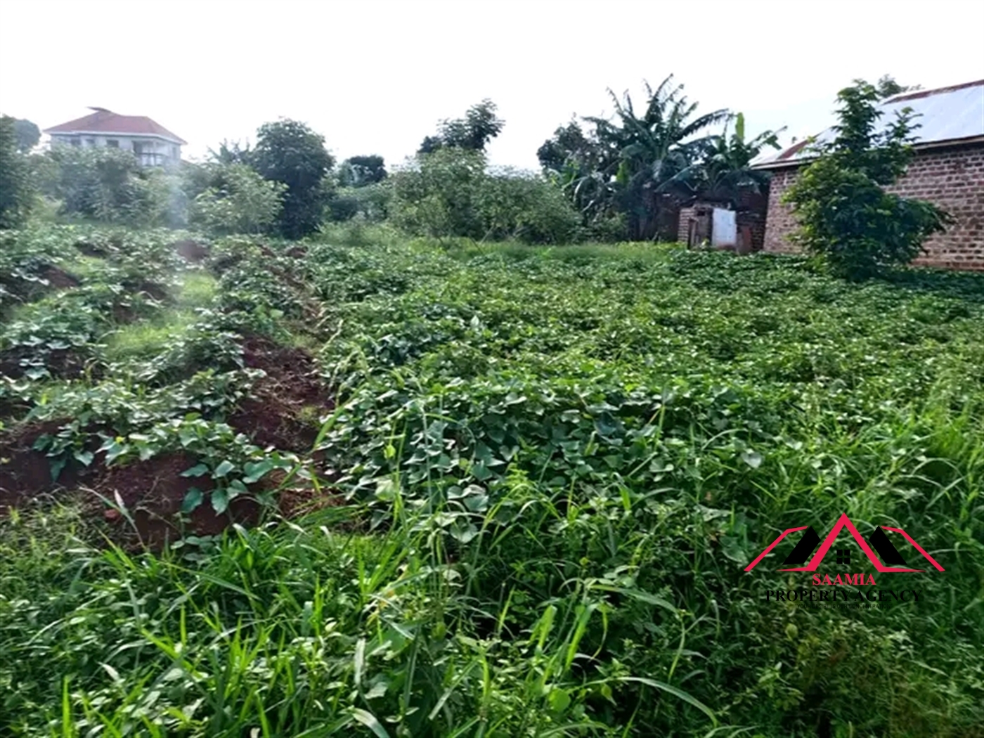 Residential Land for sale in Gayaza Kampala