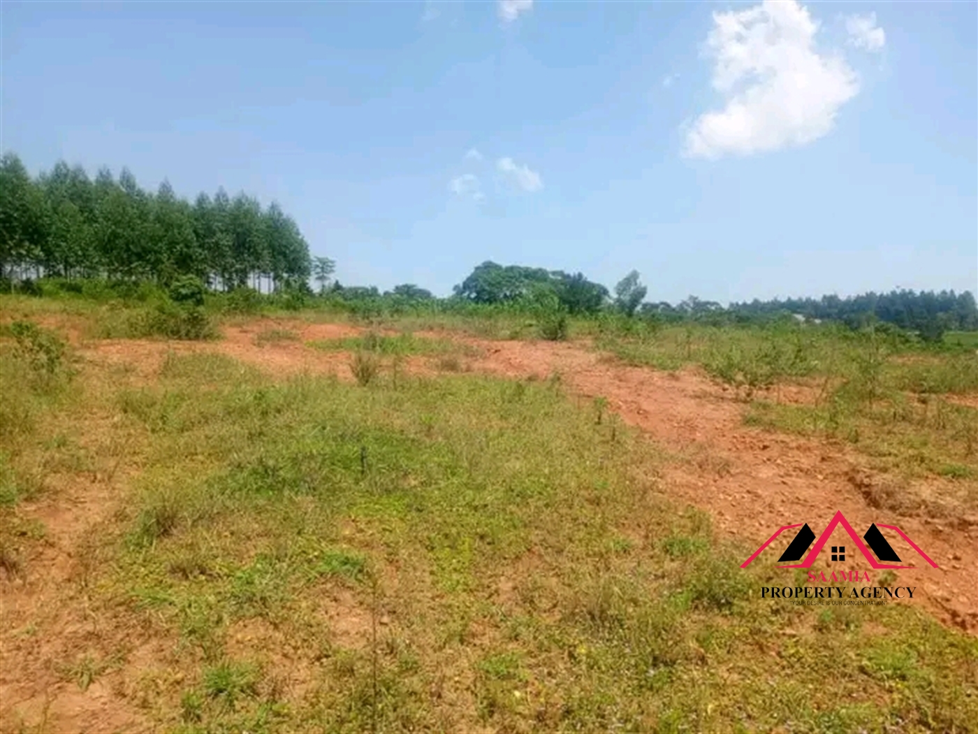 Residential Land for sale in Nakasanjja Wakiso