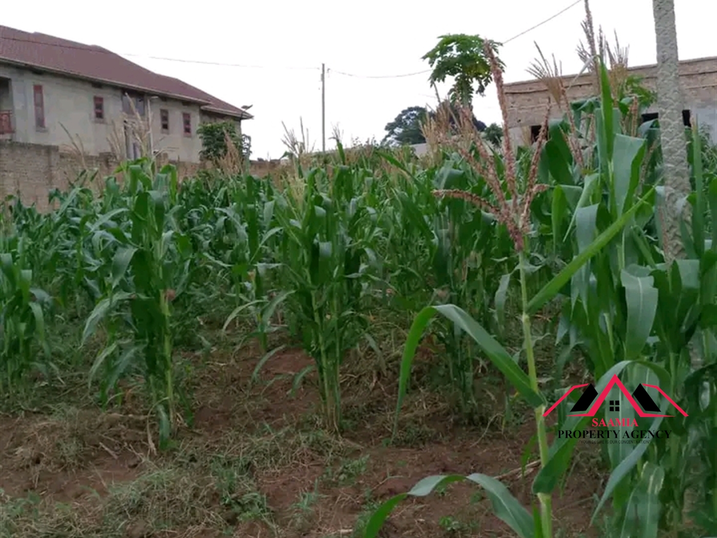 Residential Land for sale in Nabusugwe Wakiso