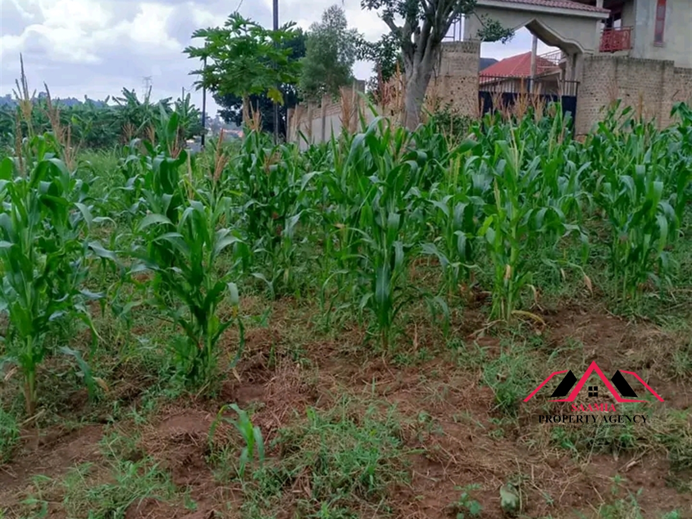 Residential Land for sale in Nabusugwe Wakiso