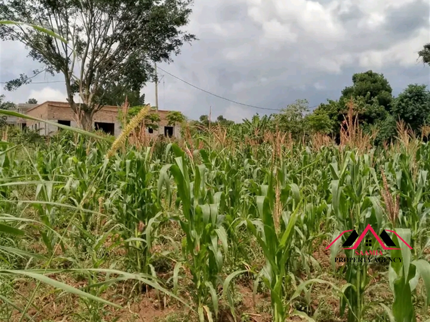 Residential Land for sale in Nabusugwe Wakiso