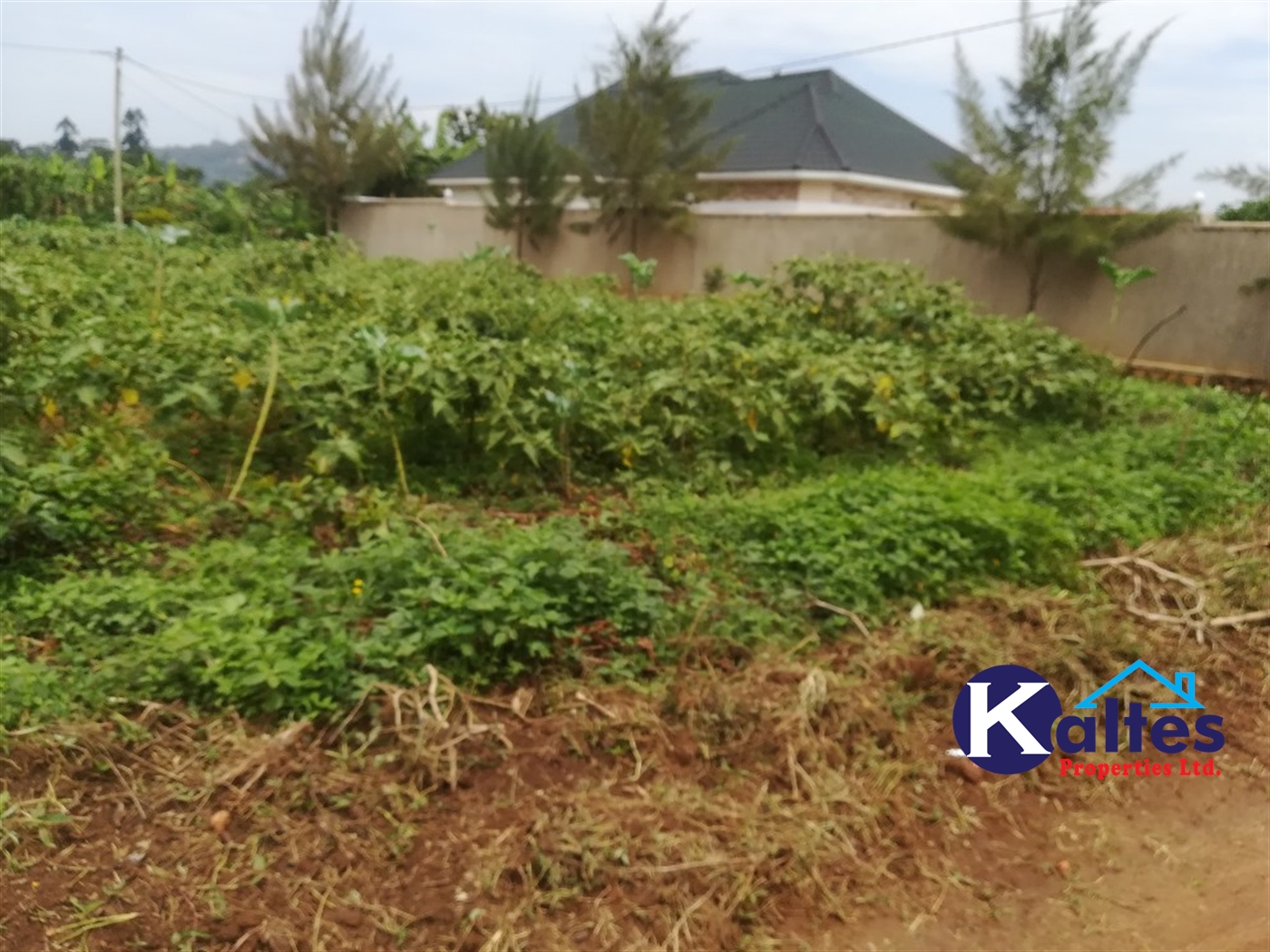 Residential Land for sale in Kyetume Mukono