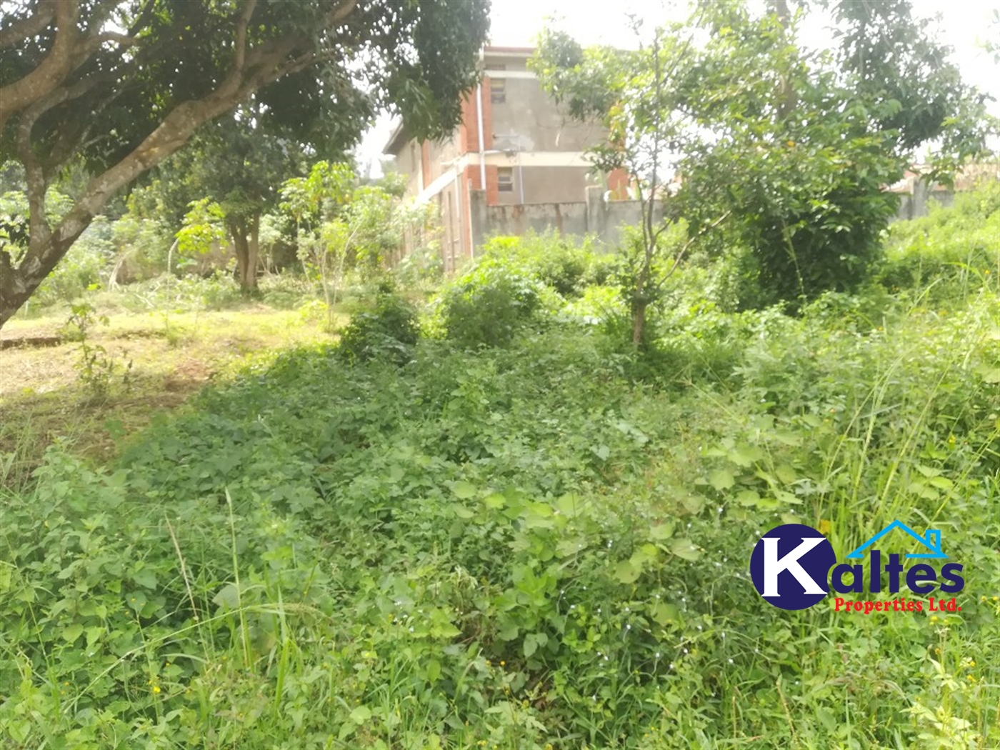 Residential Land for sale in Kyetume Mukono