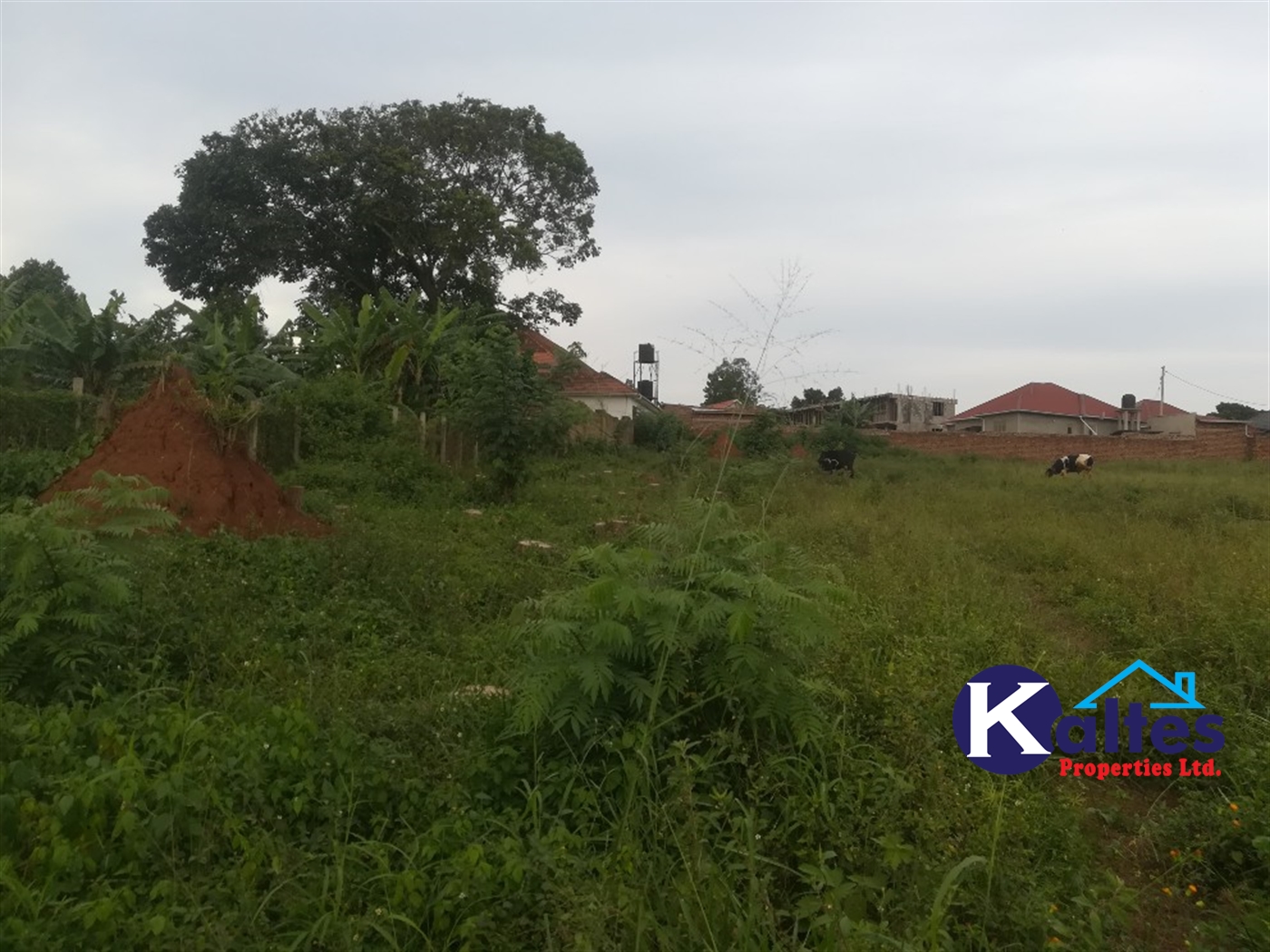 Residential Land for sale in Namayiba Mukono