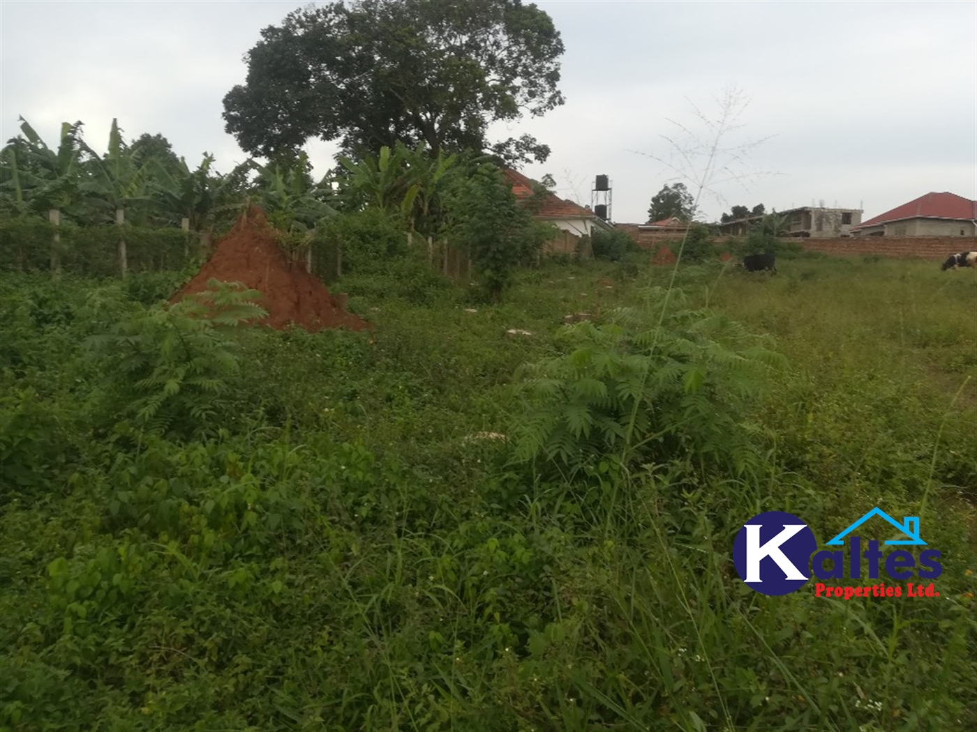 Residential Land for sale in Namayiba Mukono