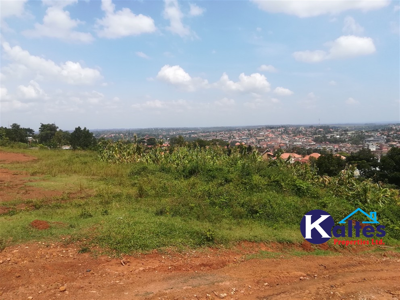 Residential Land for sale in Namayiba Mukono