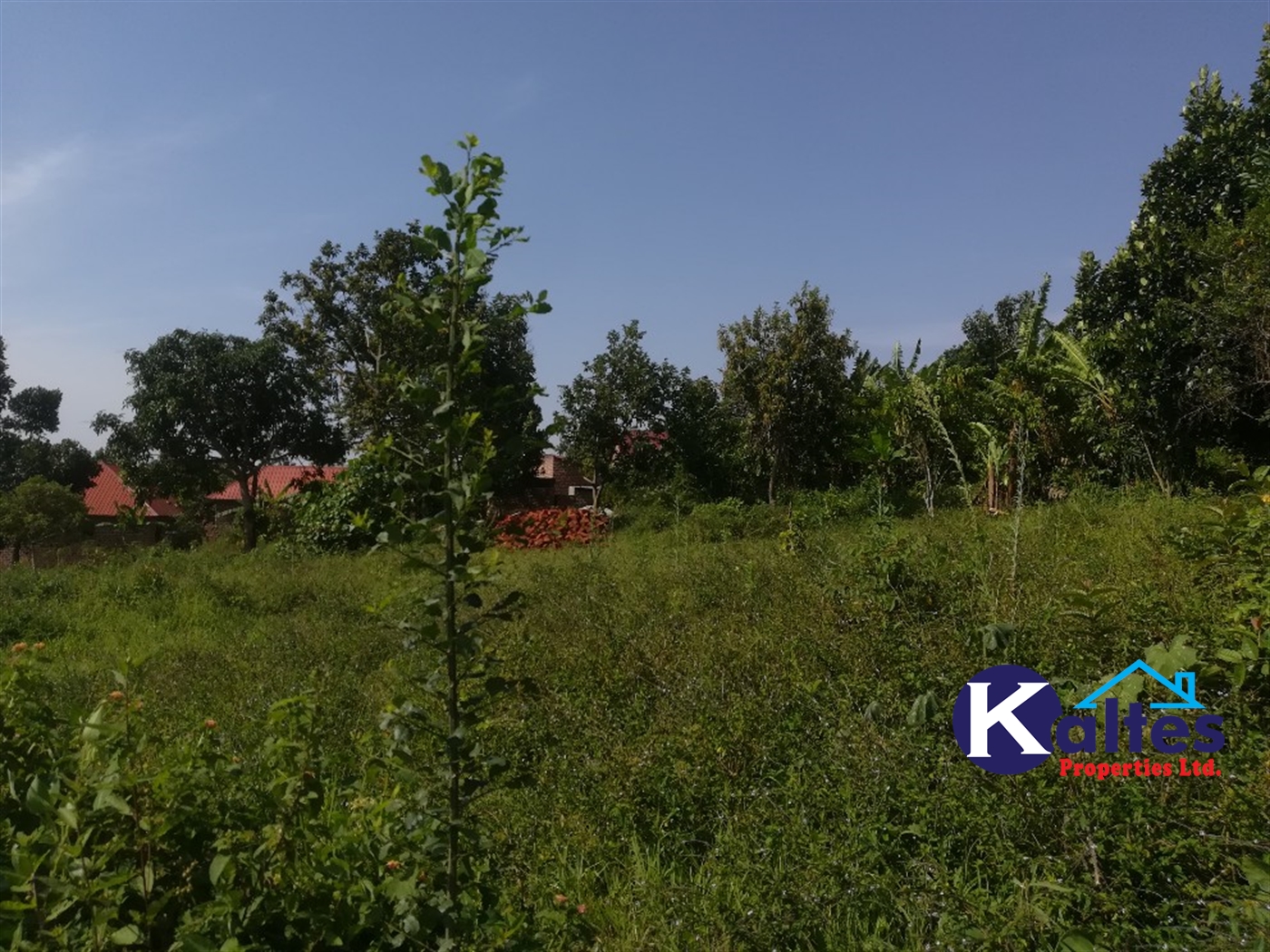 Residential Land for sale in Namayiba Mukono