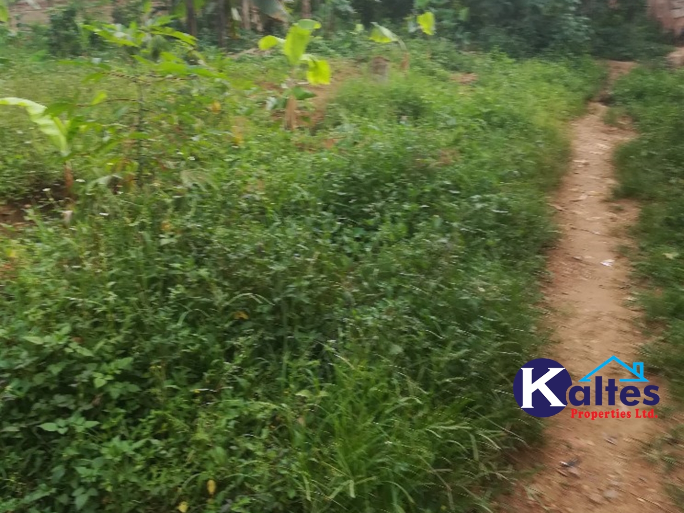 Agricultural Land for sale in Busabaga Buyikwe