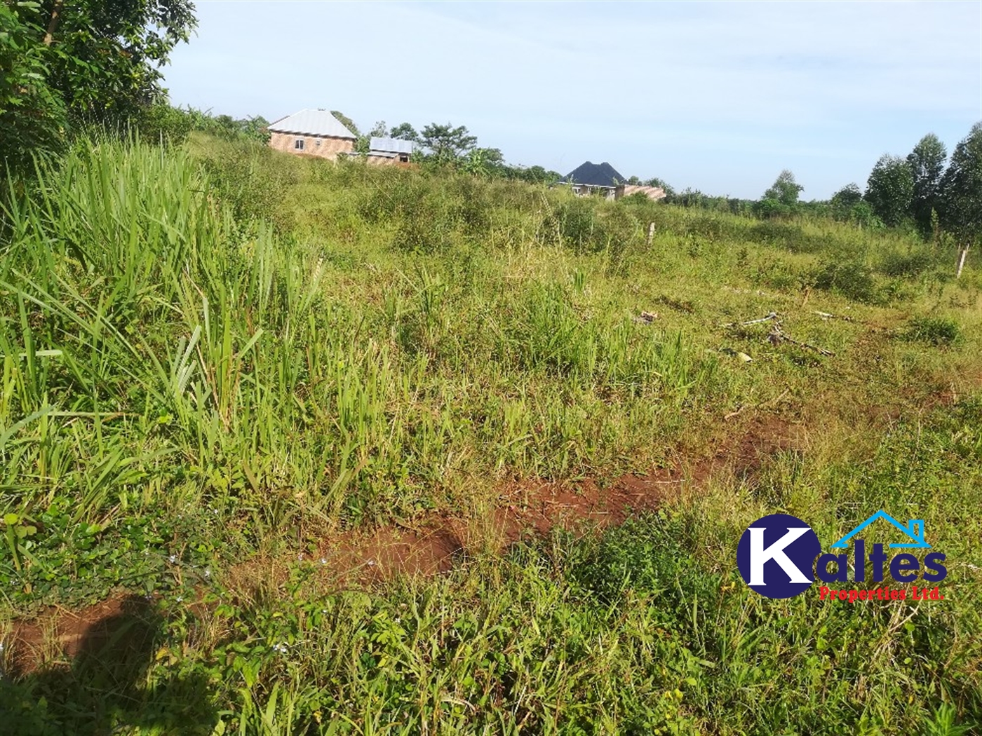 Residential Land for sale in Nakisunga Mukono