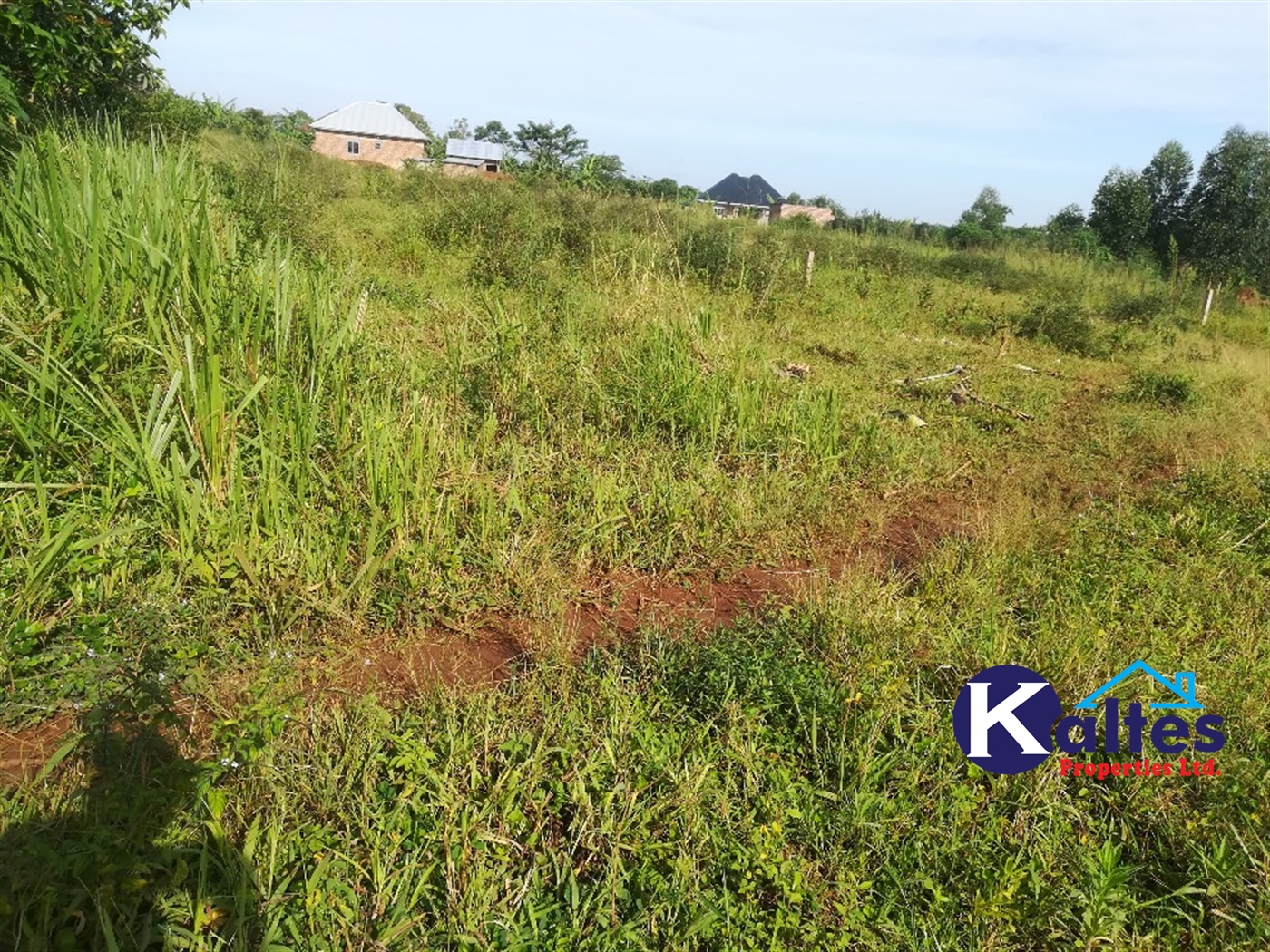 Residential Land for sale in Nakisunga Mukono