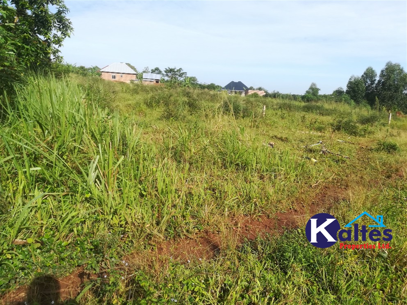 Residential Land for sale in Nakisunga Mukono